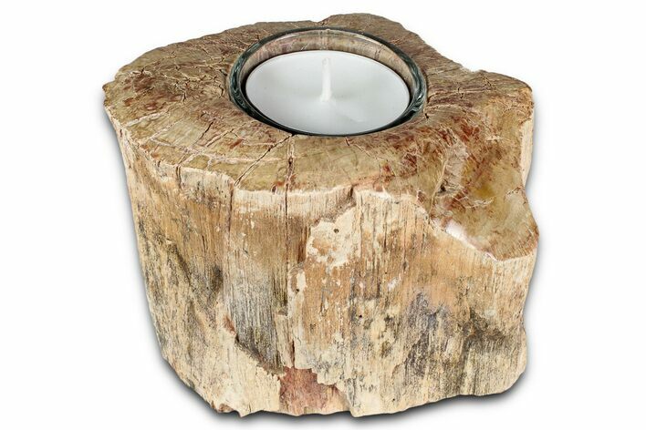 Polished Petrified Wood Candle Holder - Madagascar #337572
